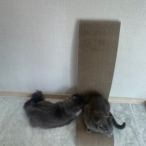 베스트 후기 이미지