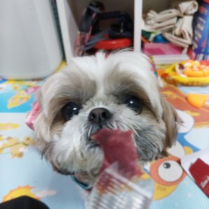 베스트 후기 이미지