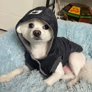 [무료배송] 쏘울펫 심플 모던 수염패딩 네이비 S-XXL 베스트 후기 이미지