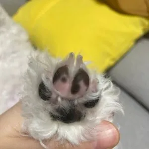 베스트 후기 이미지