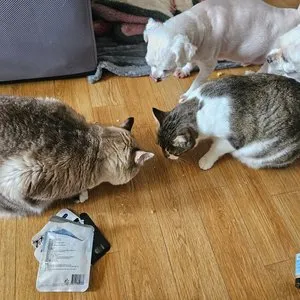 베스트 후기 이미지