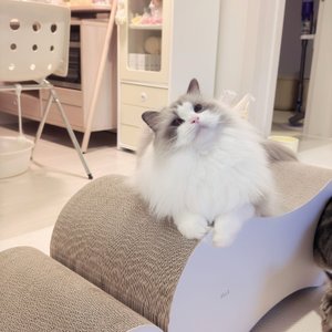 베스트 후기 이미지