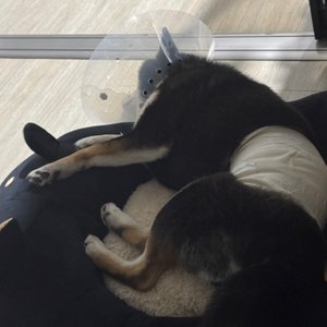 베스트 후기 이미지