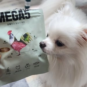 [창고대방출] 메가파이브 닭 체력강화 50g 베스트 후기 이미지