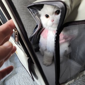 베스트 후기 이미지