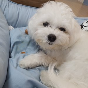 베스트 후기 이미지