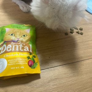 베스트 후기 이미지