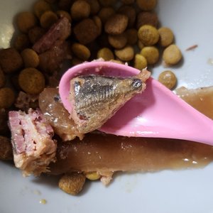 베스트 후기 이미지