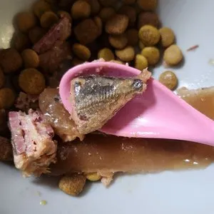 베스트 후기 이미지