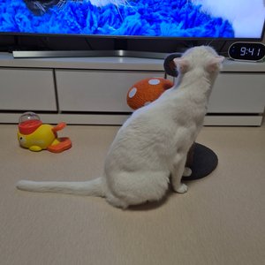 베스트 후기 이미지