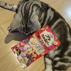 베스트 후기 이미지