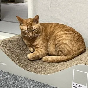 베스트 후기 이미지