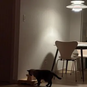 베스트 후기 이미지