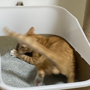 베스트 후기 이미지