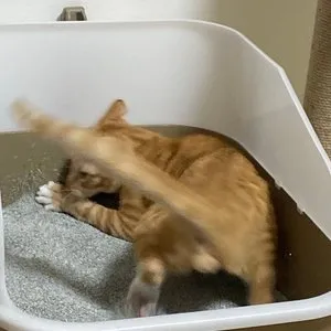 베스트 후기 이미지