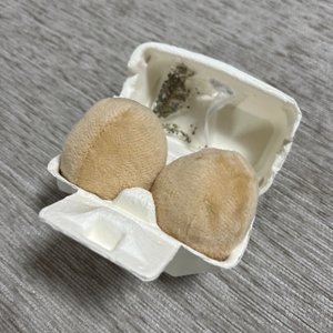 베스트 후기 이미지