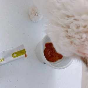 메디멀 캣 영양스틱 헤어볼 15g*30p 베스트 후기 이미지