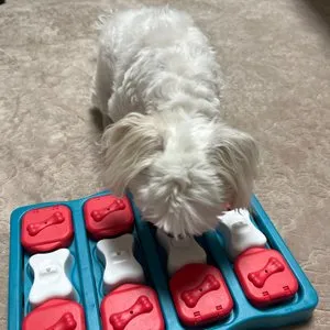 베스트 후기 이미지