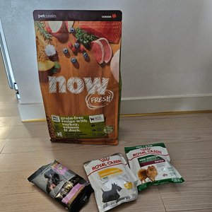 베스트 후기 이미지