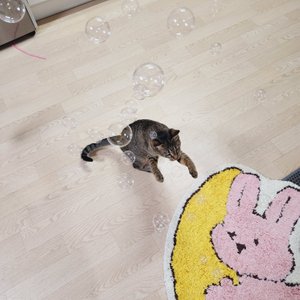 베스트 후기 이미지