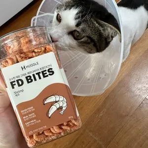 베스트 후기 이미지