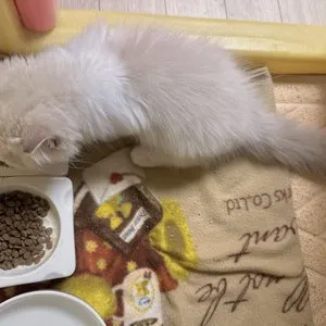 베스트 후기 이미지