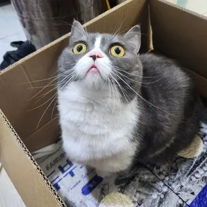 베스트 후기 이미지