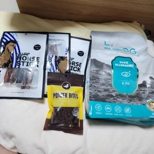 [사료샘플] 라포그 독 리얼인섹트 소프트키블 아이케어 40g 베스트 후기 이미지