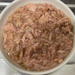 NEKKO 캣 골드 참치&연어 인 그레이비 캔 85g 베스트 후기 이미지