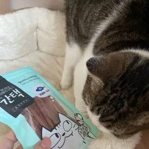 베스트 후기 이미지