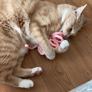 베스트 후기 이미지