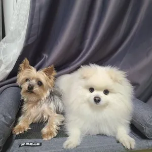 베스트 후기 이미지