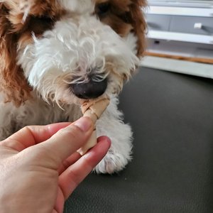 베스트 후기 이미지