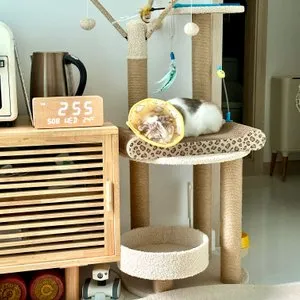 베스트 후기 이미지