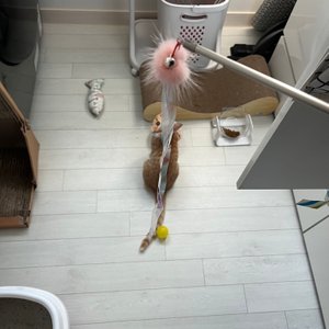 베스트 후기 이미지
