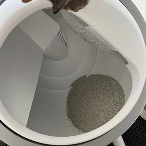 베스트 후기 이미지