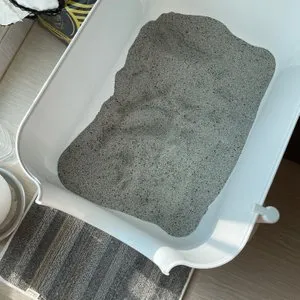 베스트 후기 이미지