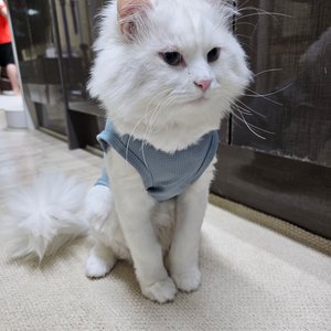 베스트 후기 이미지
