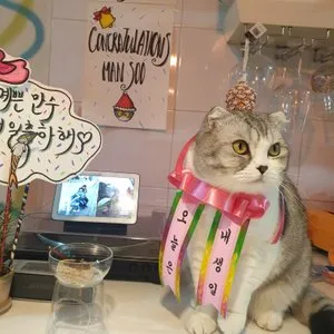 베스트 후기 이미지