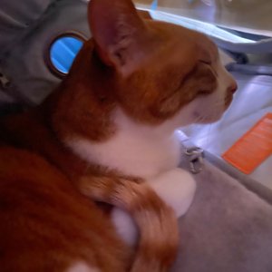 베스트 후기 이미지