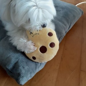 베스트 후기 이미지
