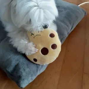 베스트 후기 이미지