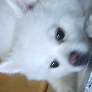 베스트 후기 이미지