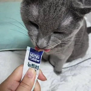 베스트 후기 이미지