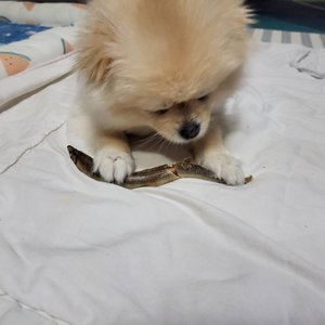 베스트 후기 이미지