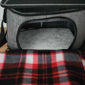 베스트 후기 이미지