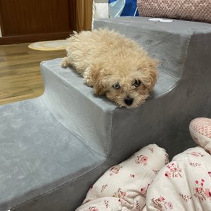 베스트 후기 이미지