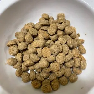 베스트 후기 이미지