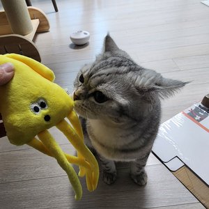 베스트 후기 이미지
