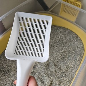 베스트 후기 이미지